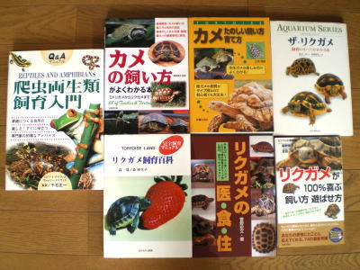 ◇「TORTOISE LAND リクガメ飼育百科」◇完全飼育マニュアル◇ 心の